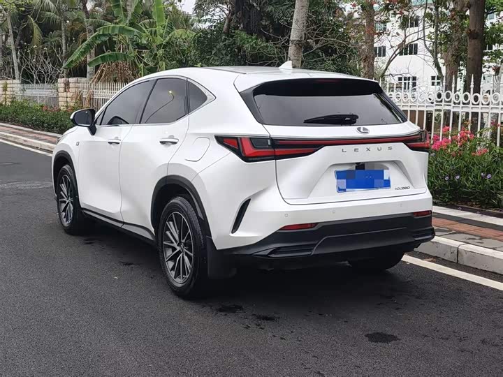 Фото 6 - Lexus NX