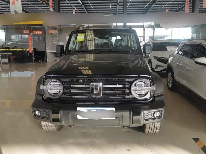 Фото 2 - Tank 300