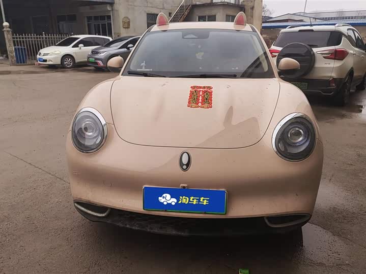 Photo 1 - Ora Good Cat (03)