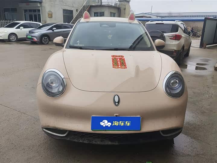 Photo 2 - Ora Good Cat (03)