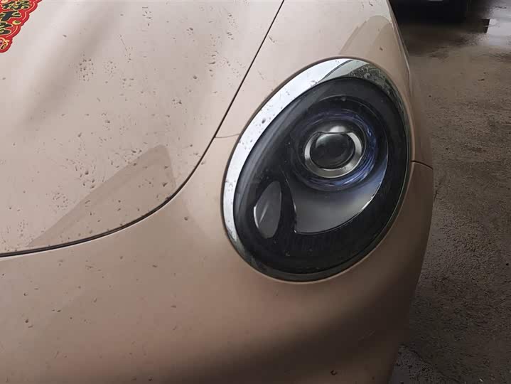 Photo 5 - Ora Good Cat (03)