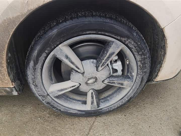 Photo 6 - Ora Good Cat (03)