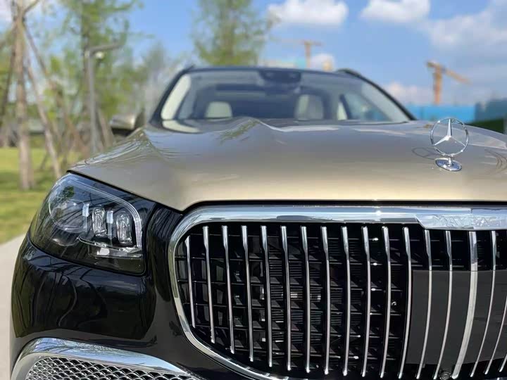 Фото 3 - Mercedes-Benz Maybach GLS