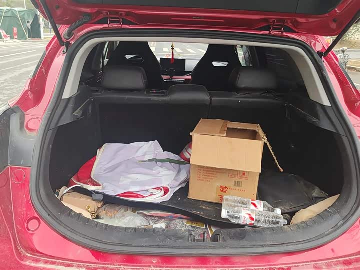 Фото 4 - Geely Emgrand GS