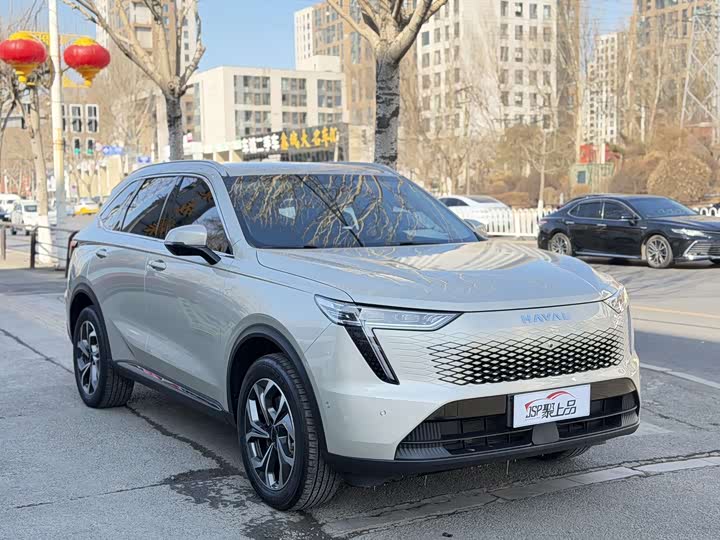 Фото 3 - Haval Ruge Max