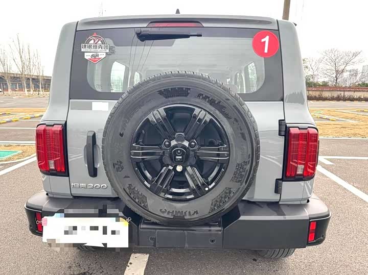 Фото 8 - Tank 300