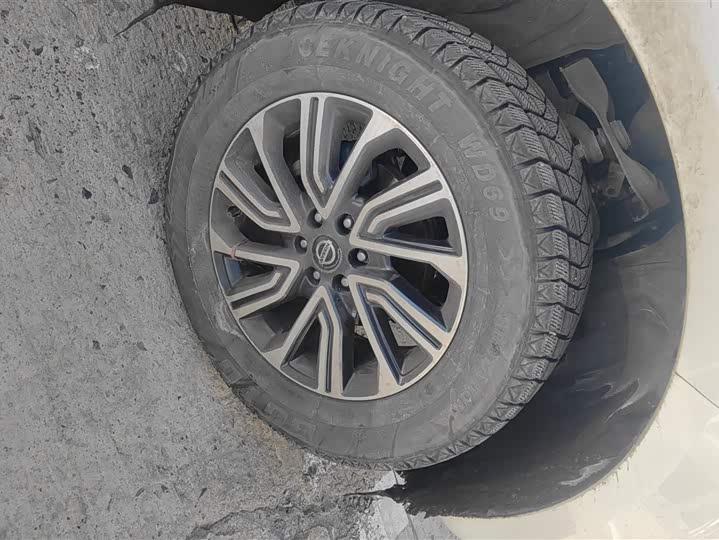 Фото 6 - Nissan Terra