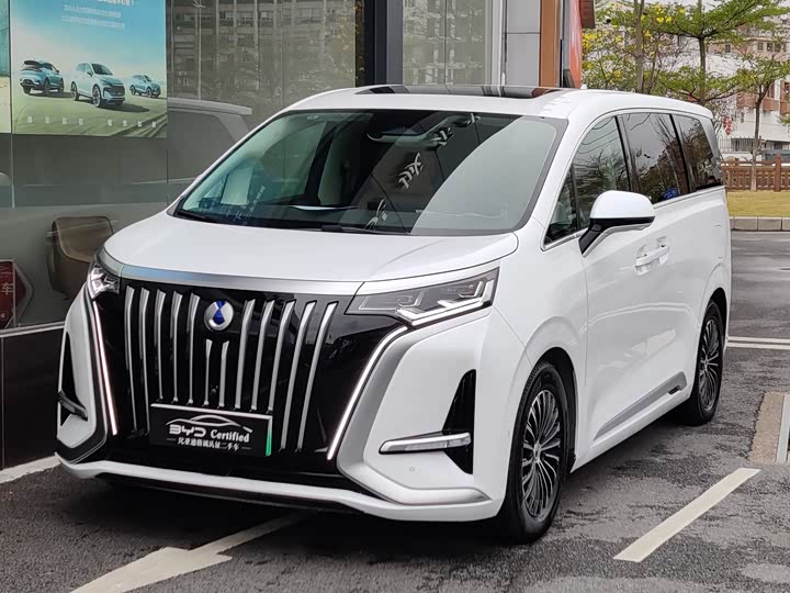 Фото 1 - Denza D9