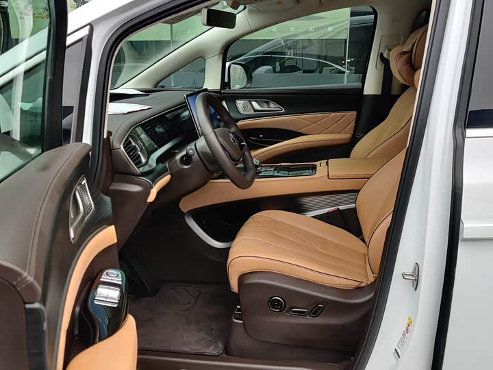 Фото 3 - Denza D9