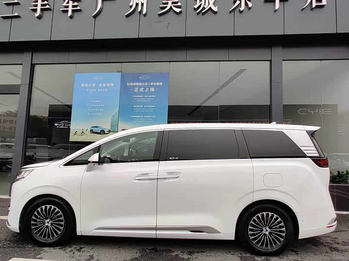 Фото 6 - Denza D9