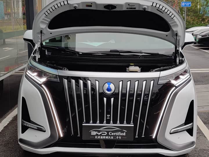 Фото 9 - Denza D9