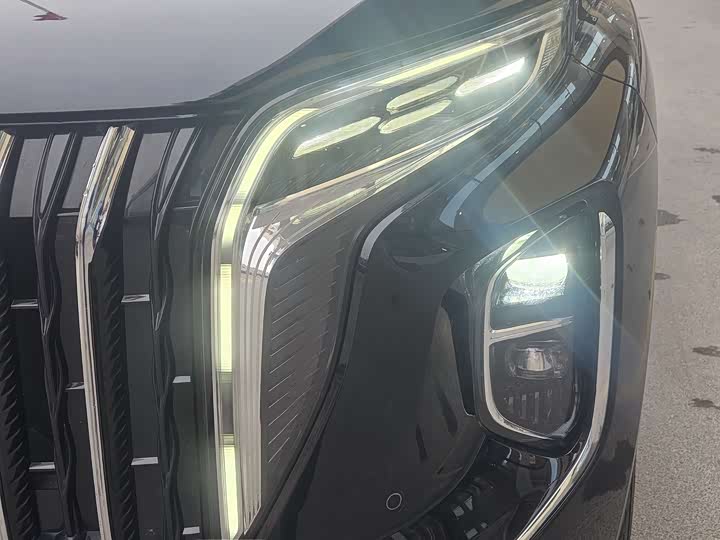 Photo 5 - Hongqi HS7 Hybrid