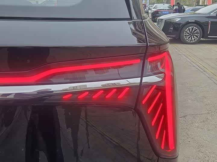 Photo 6 - Hongqi HS7 Hybrid