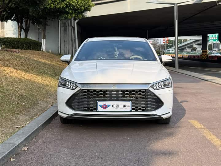 Фото 2 - BYD Qin Plus