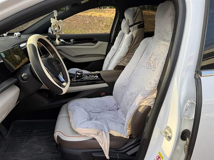 Фото 8 - BYD Qin Plus