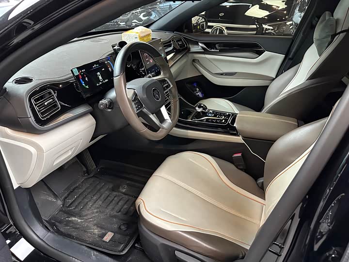 Фото 4 - BYD Qin Plus