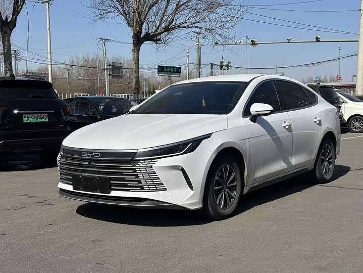 Фото 1 - BYD Destroyer 05