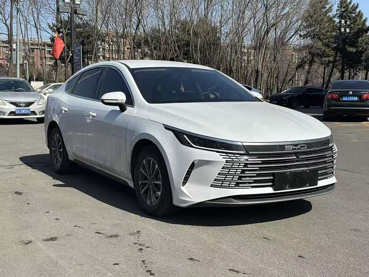 Фото 3 - BYD Destroyer 05