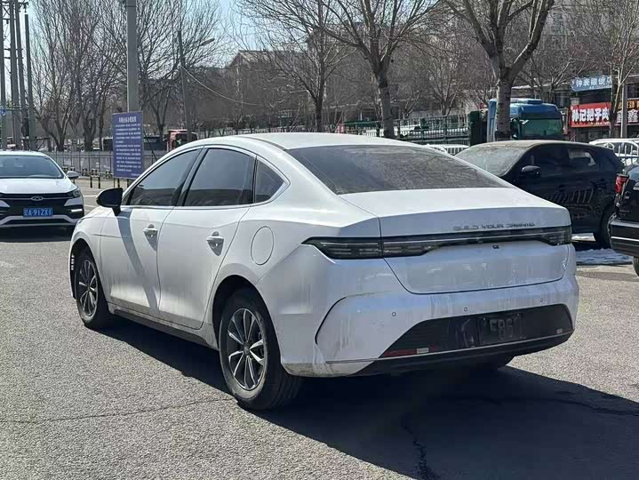 Фото 6 - BYD Destroyer 05