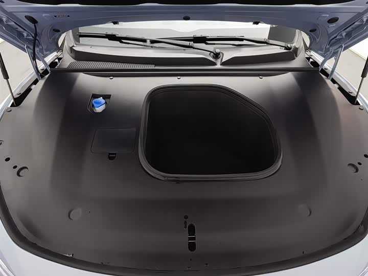 Фото 6 - Dongfeng Forthing Xinghai S7