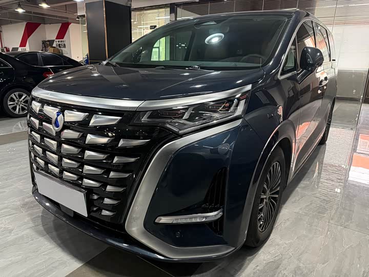 Фото 1 - Denza D9