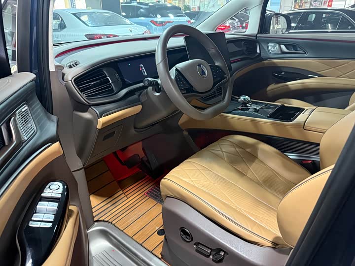 Фото 2 - Denza D9