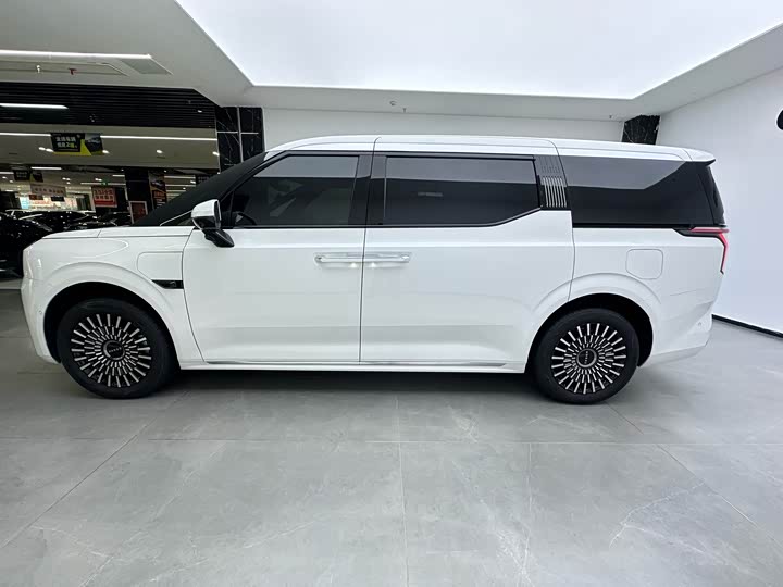 Фото 5 - Zeekr 009