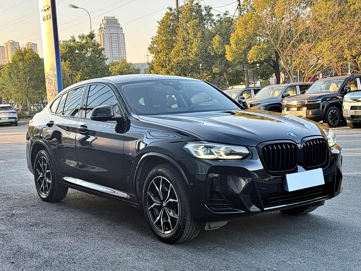 Фото 3 - BMW X4