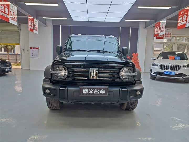 Фото 2 - Tank 300