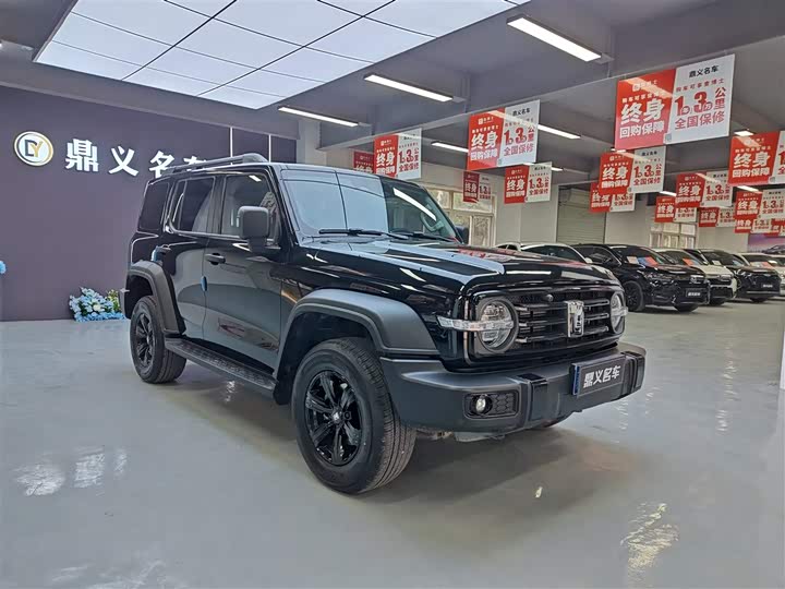 Фото 3 - Tank 300