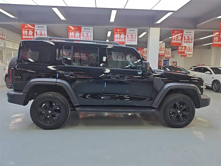 Фото 4 - Tank 300