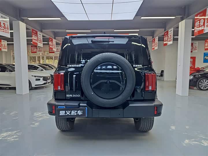 Фото 5 - Tank 300