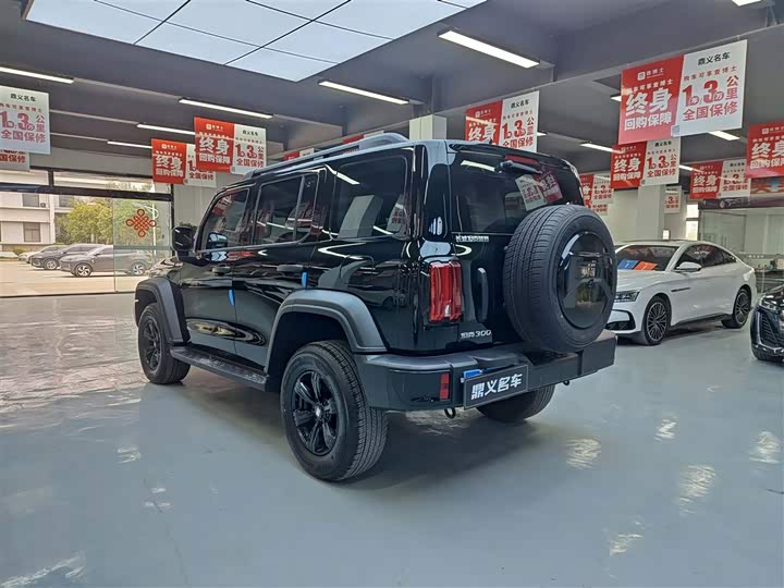 Фото 6 - Tank 300