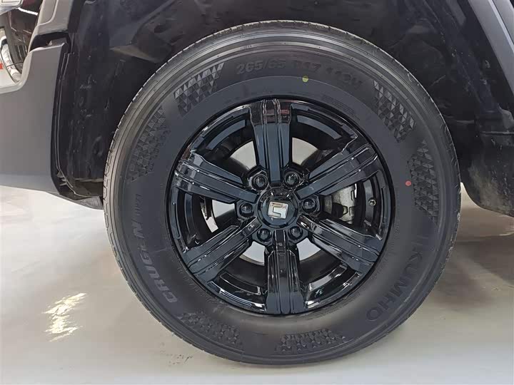 Фото 8 - Tank 300