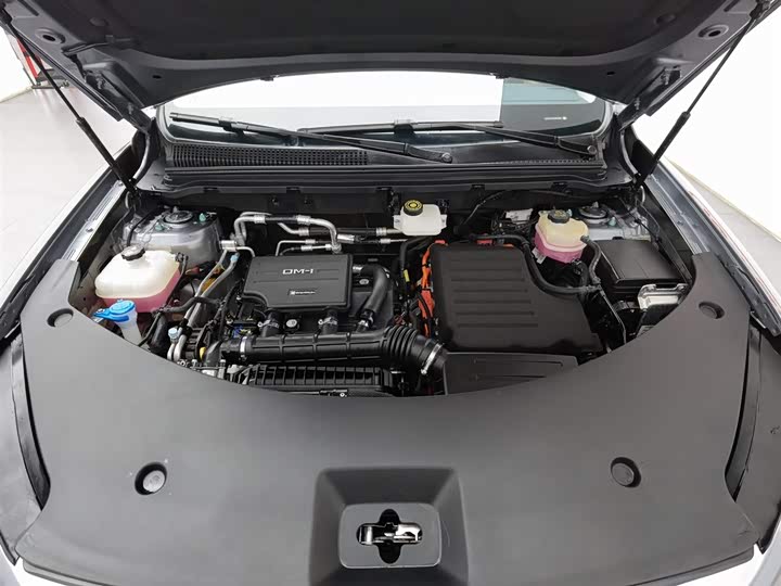 Фото 6 - BYD Song Pro Hybrid