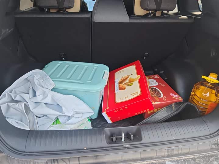 Фото 4 - Toyota bZ3X