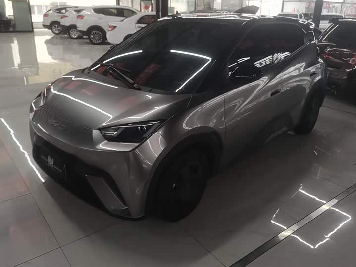 Фото 1 - BYD Seagull