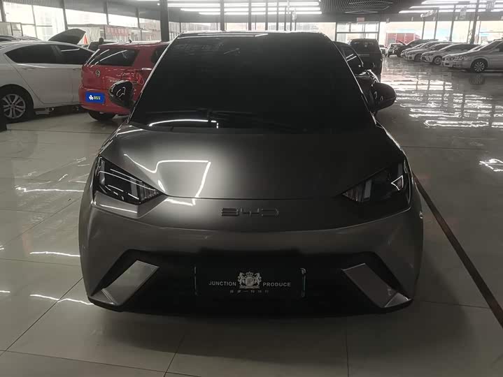 Фото 2 - BYD Seagull