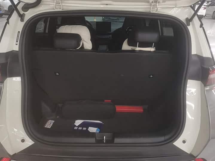 Фото 4 - BYD Seagull