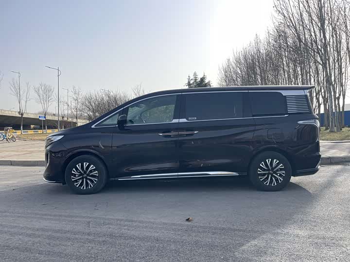 Фото 4 - Hongqi HQ9 Hybrid