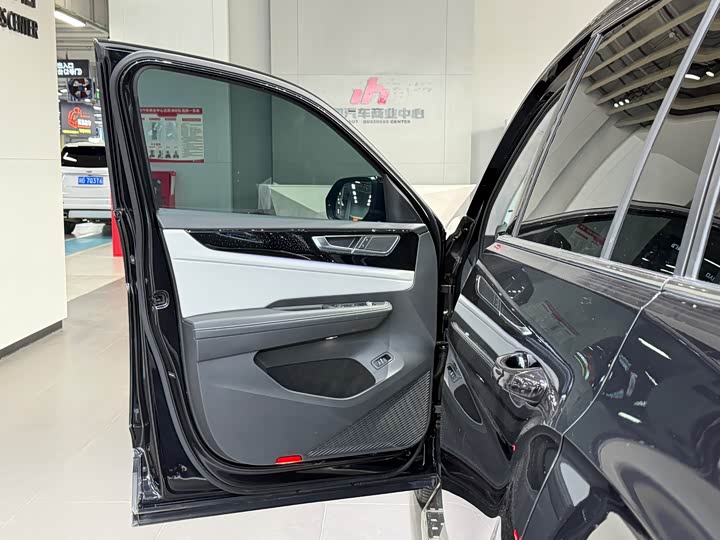 Photo 6 - Volkswagen Teramont Pro