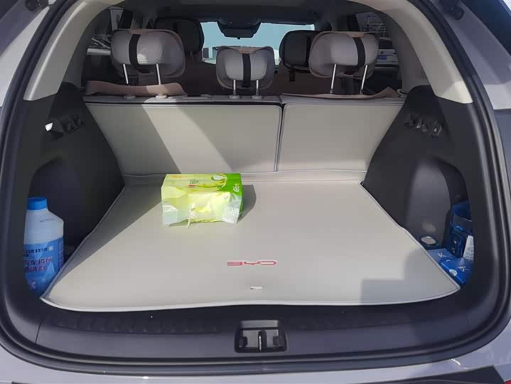 Photo 4 - BYD Sea Lion 05 EV