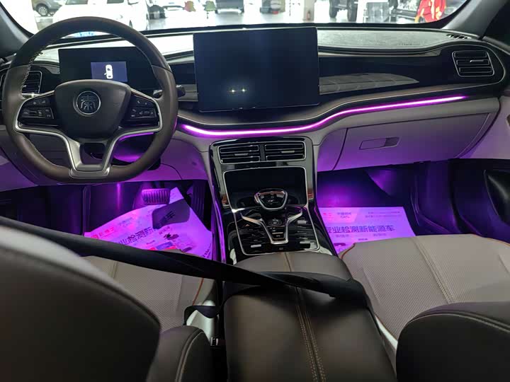 Фото 7 - BYD Qin Plus