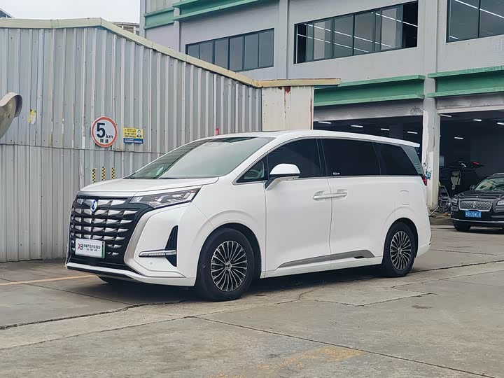 Фото 1 - Denza D9