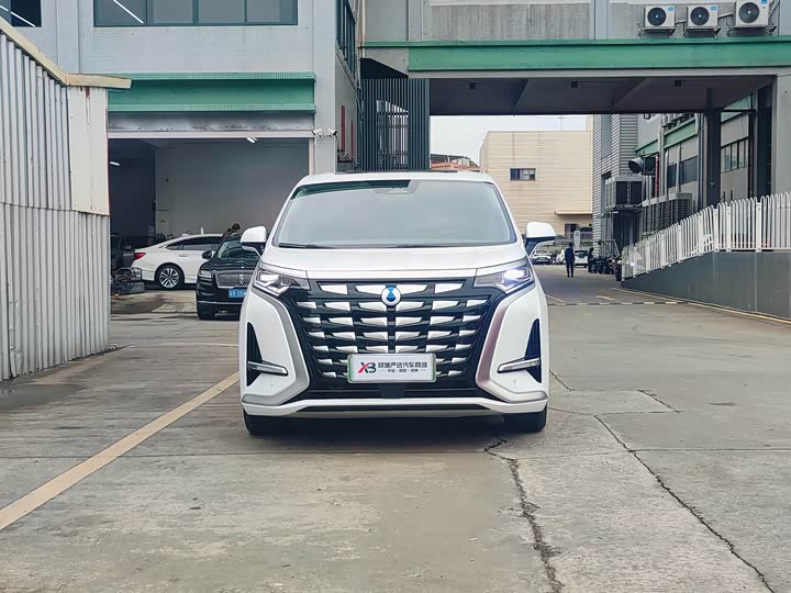 Фото 2 - Denza D9