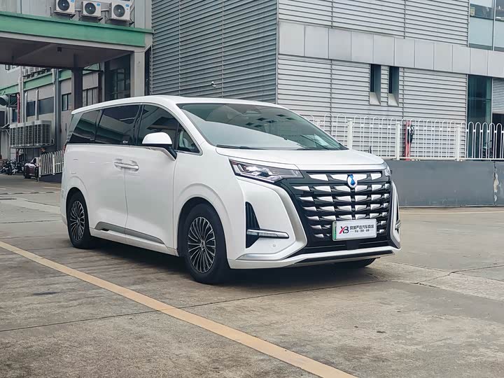 Фото 3 - Denza D9