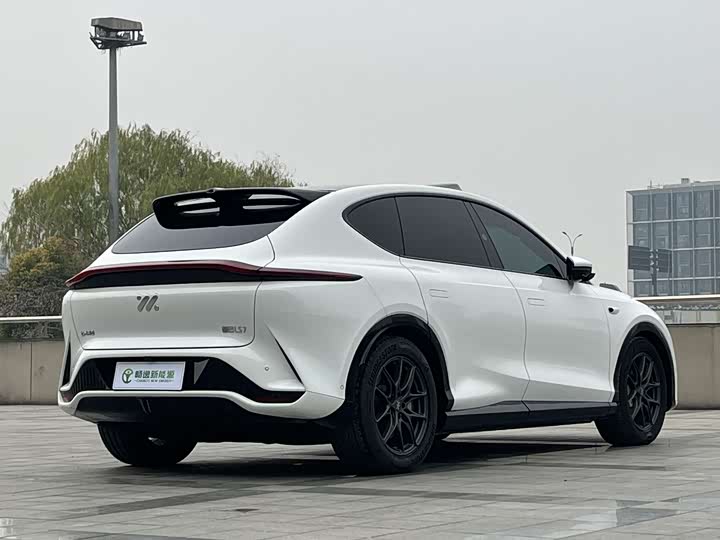 Фото 3 - IM motors LS7