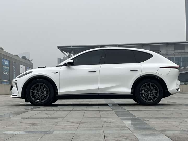 Фото 5 - IM motors LS7