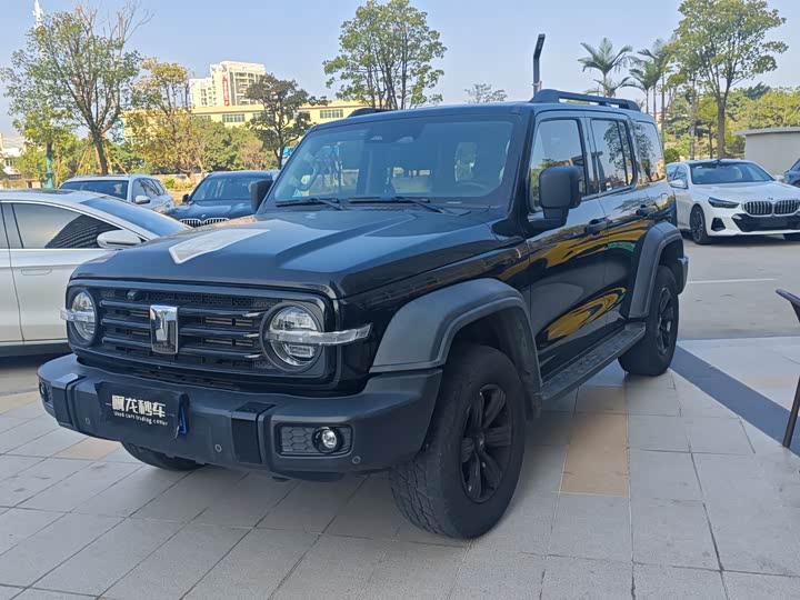 Фото 1 - Tank 300