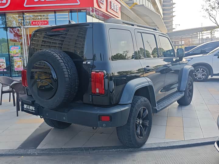 Фото 4 - Tank 300